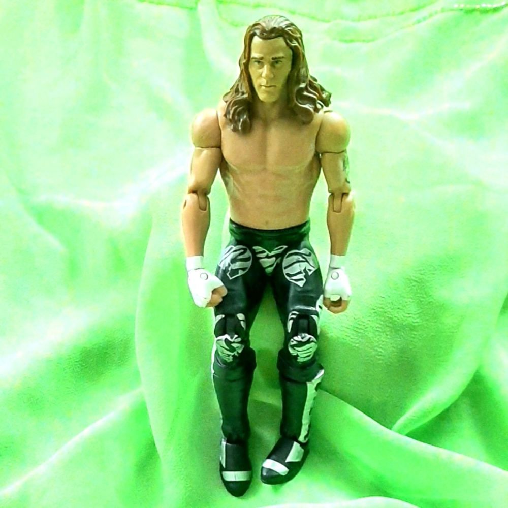 Shawn Micheals WWE